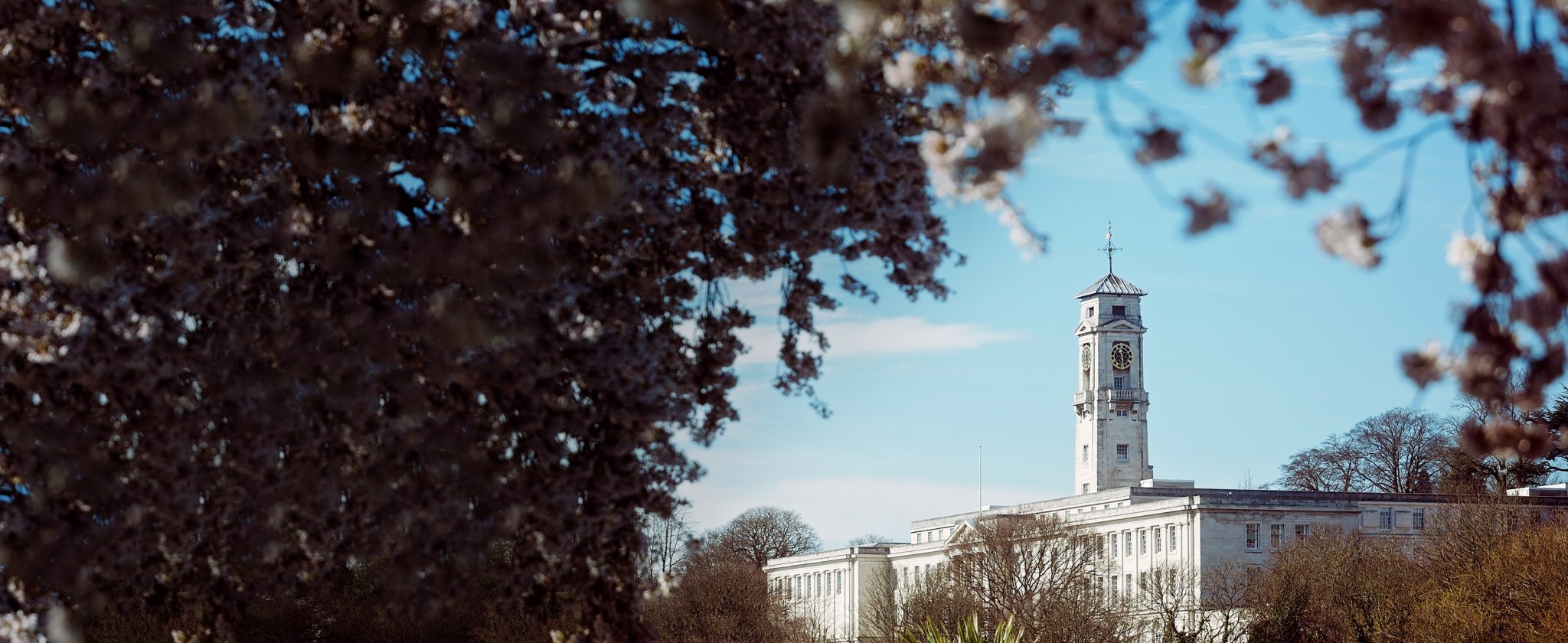 How Genealogy Enriches Our Understanding of Identity